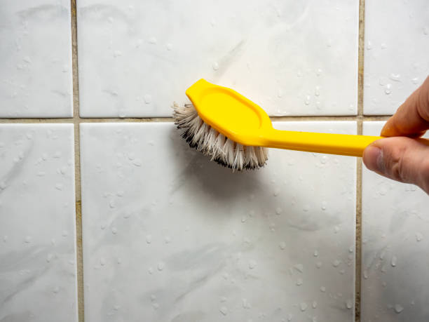 Best Toxic Mold Removal  in Somerset, OH